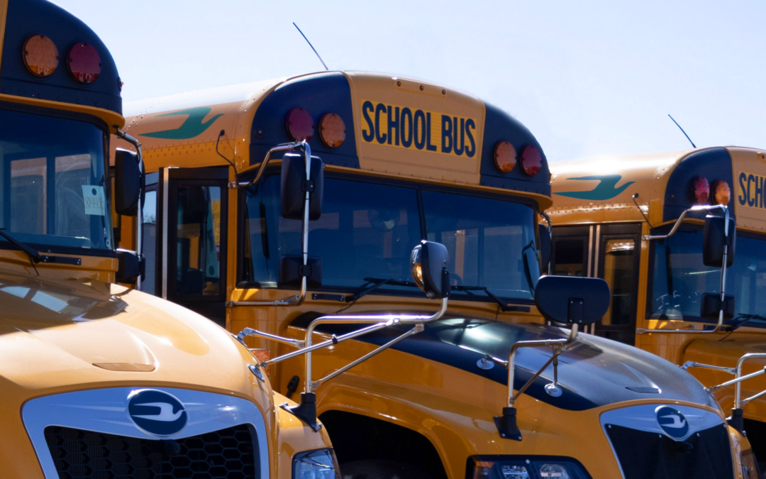 Central Minnesota’s Authorized Blue Bird Bus Dealer